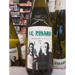 Muscadet Le pinard de Grandchamps
