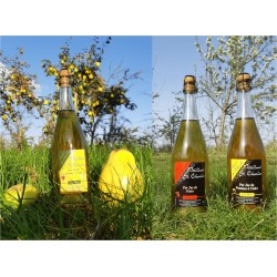 Jus de pommes fraise pétillant
