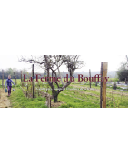 La Ferme du Bouffay